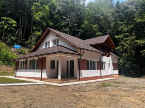 Cabana Cascada Lotrisor